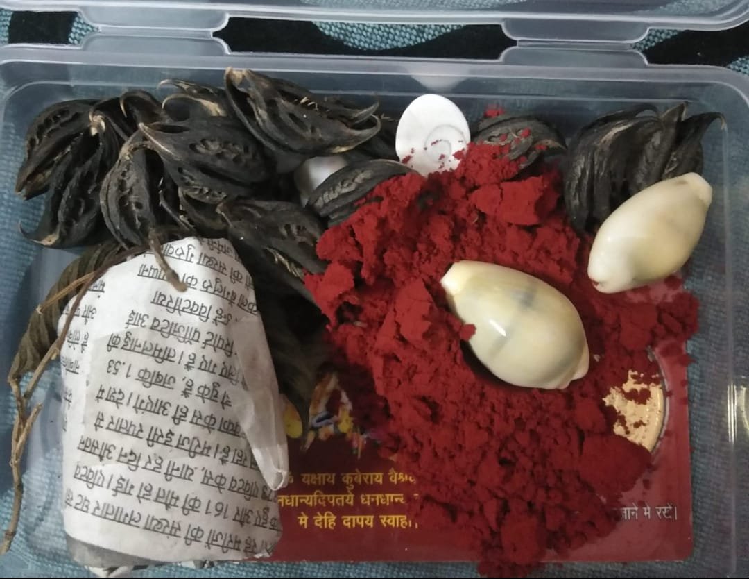 Bat Head Roots 21 Pack