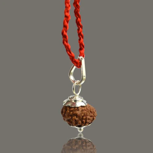 9 Mukhi Rudraksha