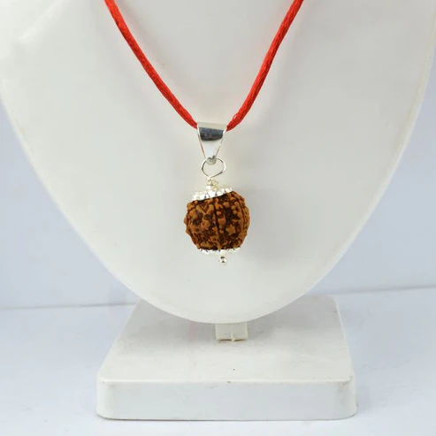Lab Certified Two Mukhi - Image 1